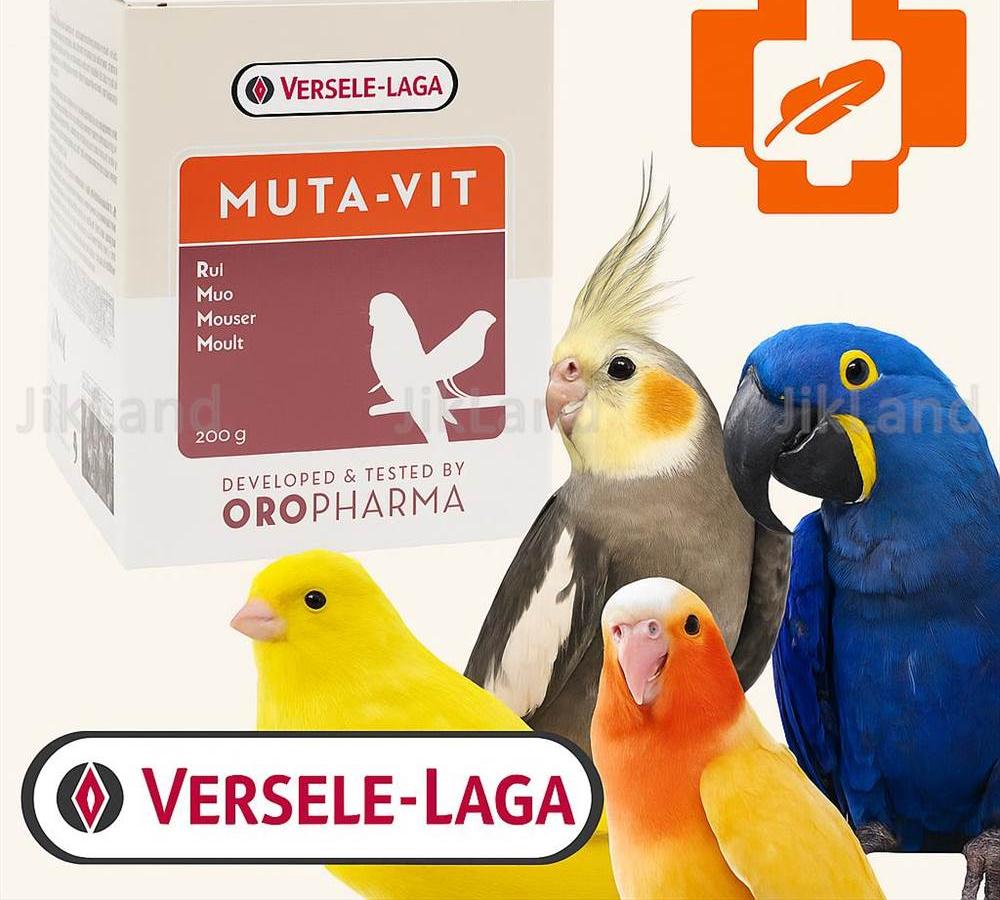 موتاویت عروس هلندی (Muta-Vit) مکمل پرسازی و درمان پرریزی