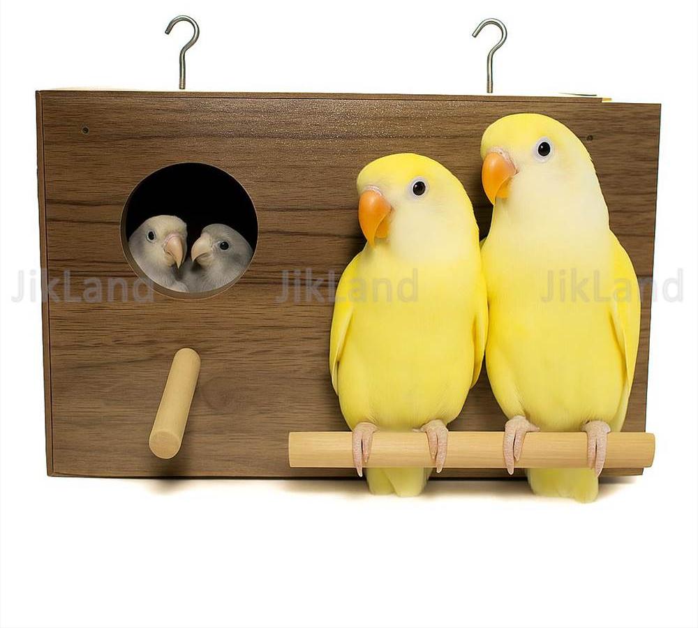 لانه کوتوله برزیلی چوبی