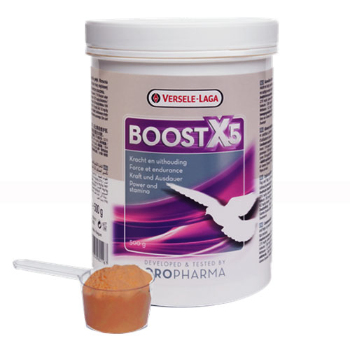 مکمل انرژی زا و عضله ساز بوست ایکس 5 ورسلاگا Versele-laga Boost X5